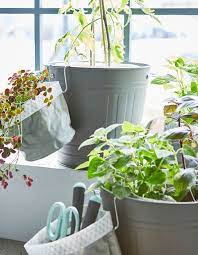 Plants In Planting Bags Are Placed In Knodd Bins To Create An Indoor Garden Plant Bags Indoor Garden Plants