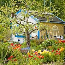 Pflanzenstarkungsmittel Und Co Pflanzen Schadlinge Im Garten Gartengestaltung