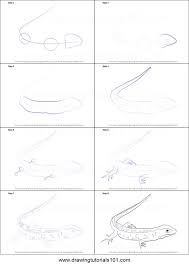 Design To Draw Draw Pattern How To Draw A Sand Lizard Learn How To Make It In 8 Easy Steps Draw Pattern Inspiration Previ Sand Lizard Lizard Drawings