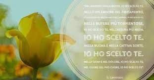 Una Bellissima Poesia D Amore Da Dedicare Agli Sposi Poesie D Amore Frasi D Amore Amore