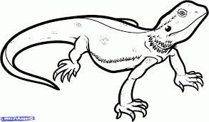 Simple Lizard Drawing Drawing Art Gallery Dragon Coloring Page Coloring Pages Cat Coloring Page