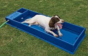 Cooling Dog Pool Fills Its Self And Won T Overfill This Is Cool Their Website Doesnt Work But I Will Find This Somewher Dog Pool Dog Playground Dog Swimming