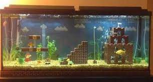 Wow 10 Cool Aquarium Decoration Ideas How To Copy Them 2021 Cool Fish Tank Decorations Fish Tank Themes Diy Fish Tank