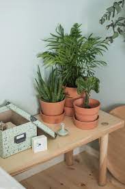 Ingefara Blumentopf Mit Untersetzer Fur Draussen Terrakotta Ikea Deutschland Bodenvase Dekorieren Terrakotta Ikea Pflanzen