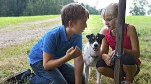 Pin Von Jana Hochbach Auf Tiere Bis Unters Dach Tiere Bis Unters Dach Tiere