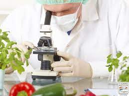 Food scientists and food technologists study the physical, microbiological, and chemical makeup early history of food technology. Food Science And Technology For Culinary Arts Students