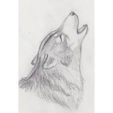 Drawings Of Wolves Howling At The Moon In Pencil Wolf Drawing Animal Drawings Sketches Wolf Sketch