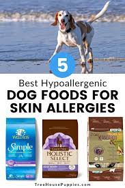 The best dog food for sensitive skin and dogs with sensitive. 5 Best Hypoallergenic Dog Foods Skin Allergies 2021 Review Hypoallergenic Dog Food Best Hypoallergenic Dogs Dog Food Recipes