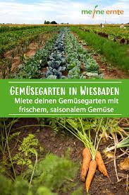 Garten Mieten In Wiesbaden In 2020 Garten Gemuseanbau Bepflanzung
