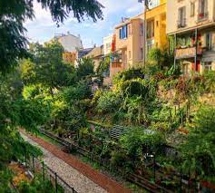 Les jardins du ruisseau sont un laboratoire d'écologie urbaine par et pour les habitants. Les Jardins Du Ruisseau Une Initiative Citoyenne Comme On Les Aime Paris Zigzag Insolite Secret