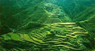 Pin On Places To Go In The Philippines