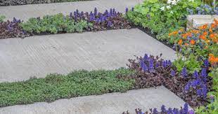 Pflasterfugen Begrunen Statt Muhsam Saubern Garten Gartenweg Pflanzen