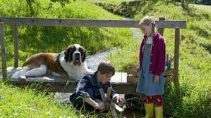 Pin Von Jana Hochbach Auf Tiere Bis Unters Dach Tiere Bis Unters Dach Tiere Coole Serien