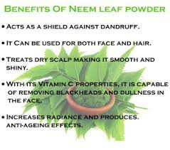 7 Benefits Of Neem Leaf Powder For Hair And Skin Everyone Should Know Indus Valley Blog Reduces itchiness & dryness dryness and itching increase when there is a lack of moisture so you can trust this oil to spread ideal hydration and moisture to counteract.