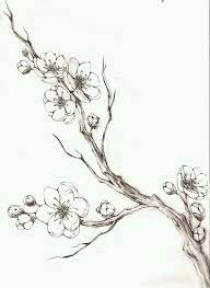 Cherry Blossom Branch Cherry Blossom Drawing Blossom Tree Tattoo Tree Branch Tattoo