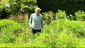 Wilde Garten Euromaxx In 2020