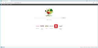 Entfernen Von Werbeprogrammen Aus Dem Browser
