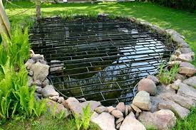 Pin Von Fe Oz Auf Gartenteich Gartenteich Garten Teich