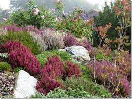 Kleine Naturnahe Bereiche Zum Einen Bestehend Aus Einem Kiesgarten Mit Graser Und Einer Bienenweide Mit Mehr Als 30 Verschiede Staudengarten Kiesgarten Garten