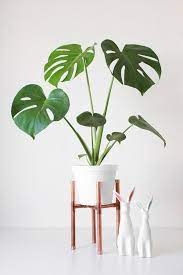 Large Mid Century Modern Planter Plant Stand Plant Pot With Wood Stand 12 Ceramic Pot Diy Plant Stand Diy Plants Plant Stand Indoor