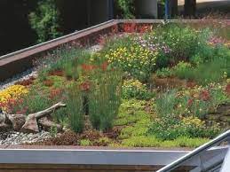 Naturliche Dammung Kfw Forderung Fur Dachbegrunung 1 Dammt Und Sieht Schon Aus Dachbegrunung Gartenarchitektur Dach