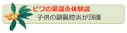 北海道札幌 日本最古の民間療法 ビワの葉温灸療法
