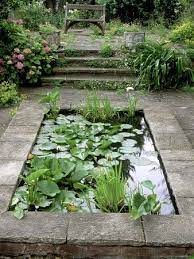Small Formal Pond With Aquatic Planting Photographic Print Tradgardsdamm Tradgardsplanering Landskapsdesign