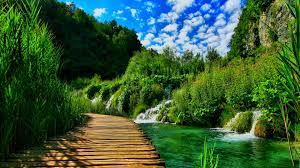 Find the best 4k nature wallpapers on wallpapertag. Windows 10 Nature Wallpaper Nature Background For Desktop 3840x2160 Download Hd Wallpaper Wallpapertip