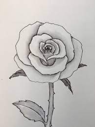 How To Draw A Rose Easy Flower Drawings Cute Flower Drawing Rose Drawing Simple