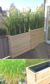 Pflanzen Sie Hohes Zitronengras In Die Hohen Holzpflanzgefasse Fur Die Balkonge Balkonge Hohe Tall Wooden Planters Large Wooden Planters Balcony Planters