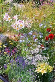 23 Wildflower Garden For Your Backyard Decorisme Garten Garten Bepflanzen Hinterhof Garten