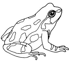 Clip Art Of A Toad Frog Clip Art Black And White Frog Clipart Gif Frog Coloring Pages Art Frog Drawing