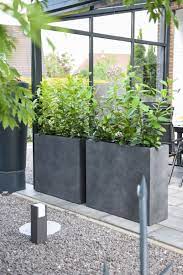 4er Set Pflanzkubel Raumteiler Beton Elemento Anthrazit Bepflanzung Pflanzkubel Pflanzen