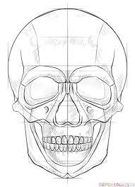 How To Draw A Human Skull Step By Step Drawing Tutorials For Kids And Beginners Human Skull Drawing 3d Drawing Tutorial Skulls Drawing