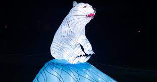 «#voyage #féerique de #lumiere au #jardin des #plantes #jardin des plantes #magnifiques #animaux et…» Admirez Les Merveilles De L Ocean Dans Le Nouveau Parcours Nocturne Du Jardin Des Plantes De Paris