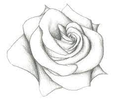Pin By Abigail Peltier On Pencil Sketches Easy In 2021 Pencil Sketches Easy Flower Sketches Pencil Drawings Easy