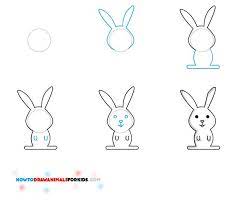 How To Draw A Bunny For Kids Jpg 620 527 Pixels Bunny Drawing Easy Bunny Drawing Draw Animals For Kids