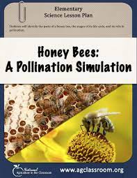 Lesson Plan Teaching The Parts Of A Honey Bee Stages Of Its Life Cycle And Its Role In Polli Teaching Plan Agriculture Education Lessons Science Lesson Plans