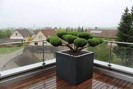 Clevere Gestaltungsideen Moderne Terrasse Bonsai Kubel Terrassengestaltung Terrasse Vorgarten