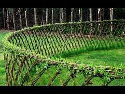 Zaun Selber Machen Zaun Selber Bauen Zaun Ideen Willow Fence Living Willow Fence Landscape Nursery