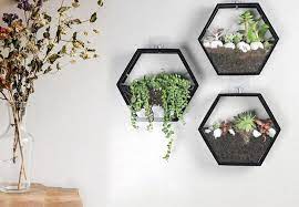 Hexagon Hydroponic Vase Wall Hanging Planter Indoor Hanging Etsy Hanging Planters Indoor Hanging Wall Planters Wall Plant Holder