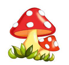 Mushrooms Royalty Free Illustration In 2020 Mushroom Drawing Art Drawings For Kids Tinkerbell Coloring Pages