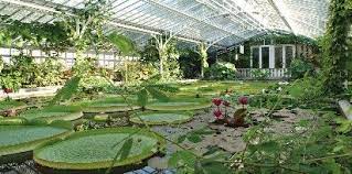 Freizeit In Munchen Botanischer Garten Munchen Nymphenburg Munchen Tipp Freizeit Tipps Welln Botanischer Garten Botanischer Garten Munchen Munchen Tipps
