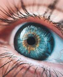 Hd Pics Wallpapers Hd Pics Wallpapers Best Picture For Drawing Eyes Simple For Your Taste You Are Looking Eye Close Up Eye Photography Eyes Artwork
