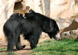 Zoo Leipzig Leipziger Zoo Zoo Exotische Tiere