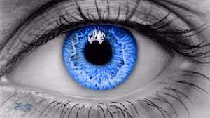 Drawn Eyeball World S Good Pencil And In Color Drawn Eyeball World S Good Realistic Eye Eye Drawing Eye Art