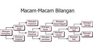 Jenis Jenis Bilangan Pengertian Jenis Beserta Contohnya