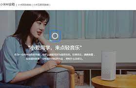 スマートスピーカーはやっぱり好きな名前で呼びたい Itmedia Pc User