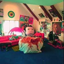 Tyler The Creator Kind Of Crib Cute Room Decor Apartment Room Aesthetic Room Decor