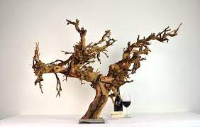 Vine Art Old Vine Grapevine Art Piece By Winecountrycraftsman 500 00 Grape Vines Art Pieces Art Table